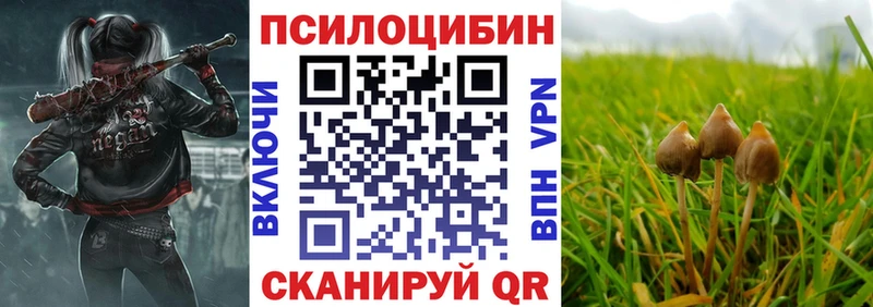 сколько стоит  Белокуриха  Галлюциногенные грибы ЛСД 